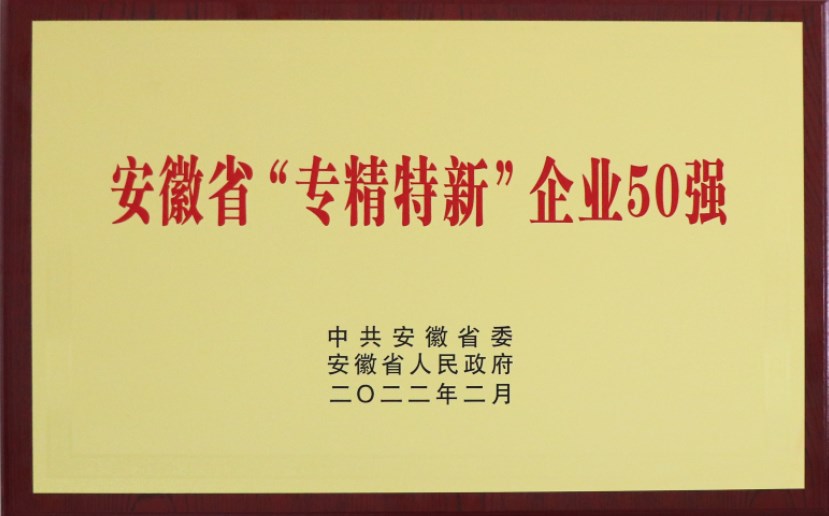 安徽省專(zhuān)精特新企業(yè)50強(qiáng)
